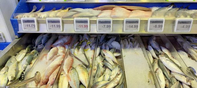 fish in supermarket