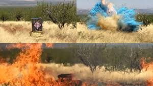 Could you imagine a Gender reveal party causing wildfires in Arizona? 🔥