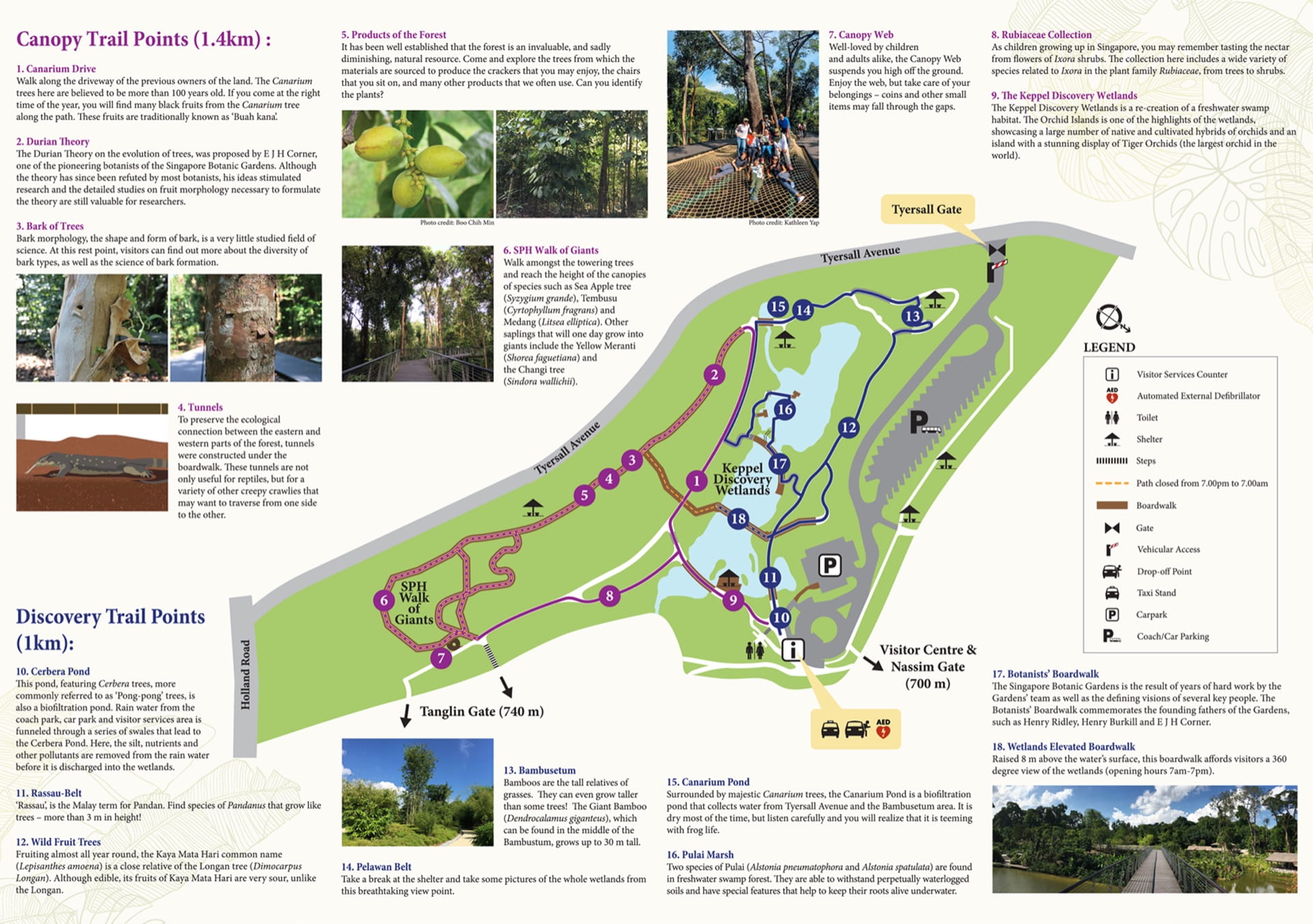 Map of SBG Learning Forest