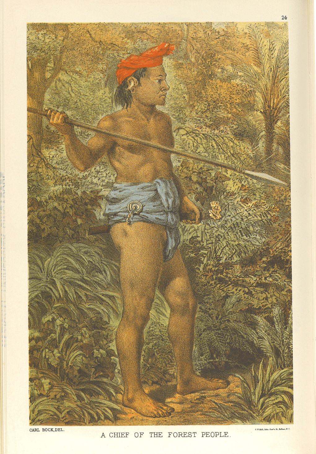 Sketch of a Chief of the forest people