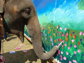 Elephant painting at Maesa Elephant camp in Chiang Mai, Thailand