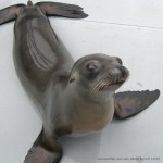 Seal, You Think You Can Dance? 