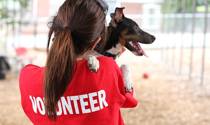 community service at animal shelters near me