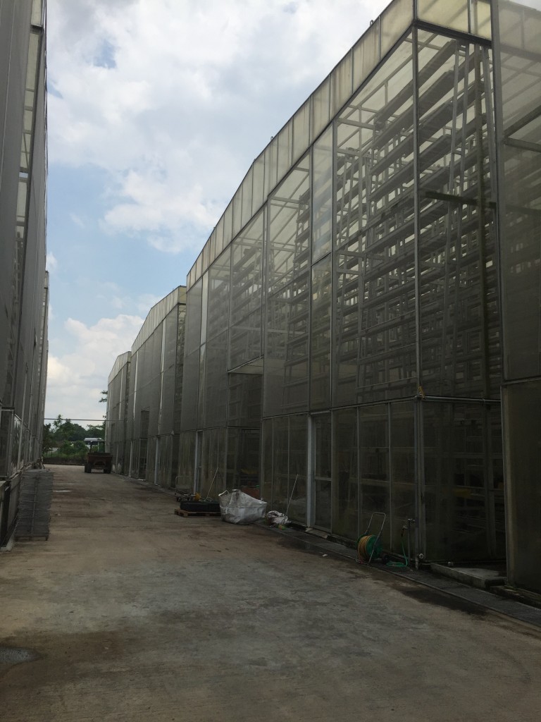 Row of Greenhouses
