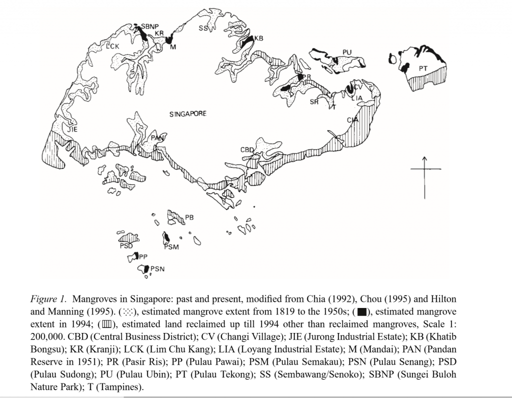mangrove-diagram-1