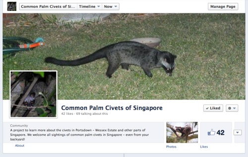 Civet FB page