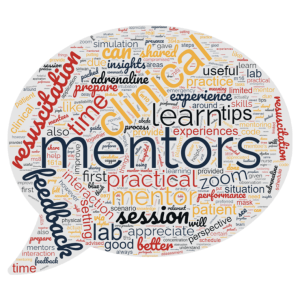 Word cloud generated based on mentees’ responses to the question “How is your lab experience with your mentors?”